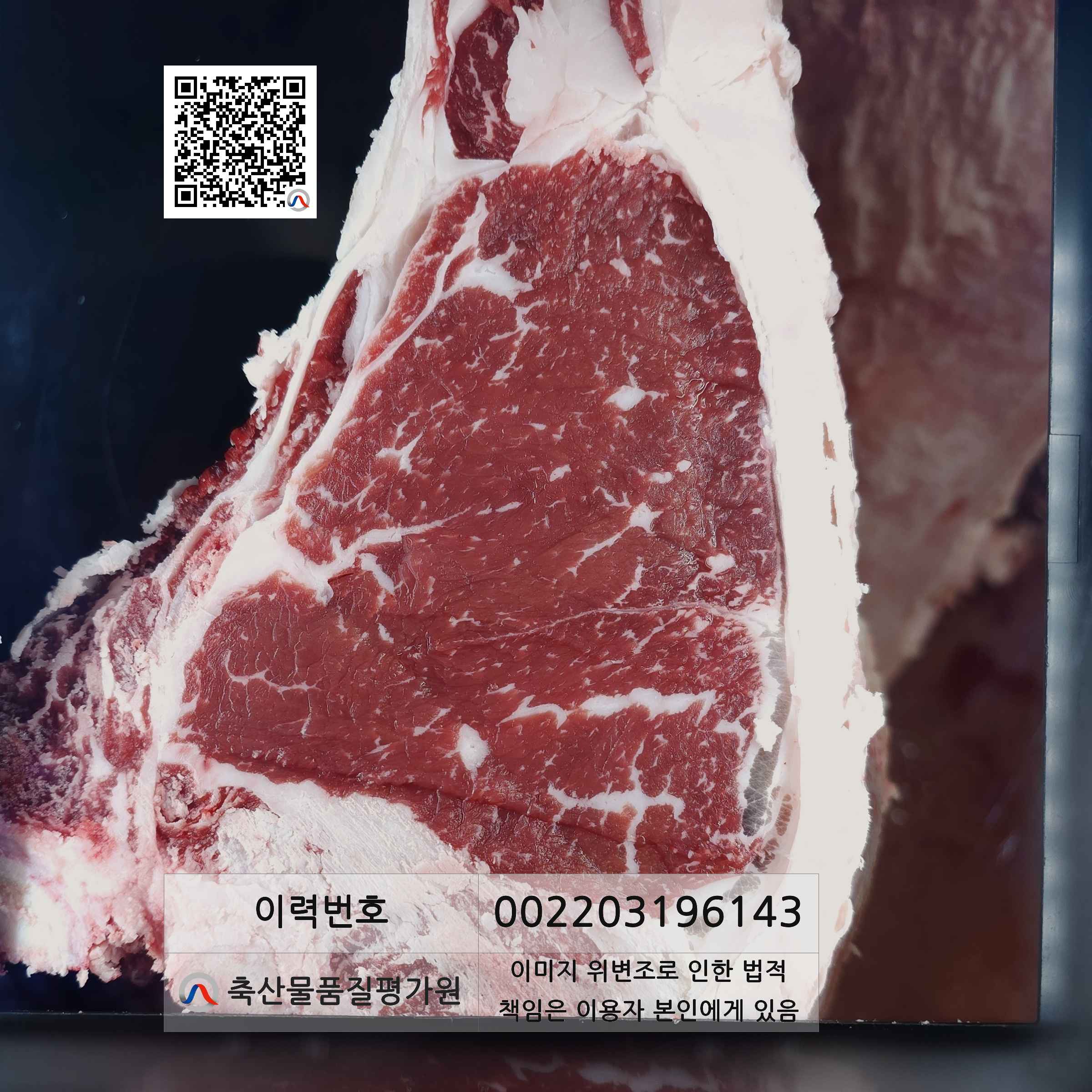 등심단면적 사진