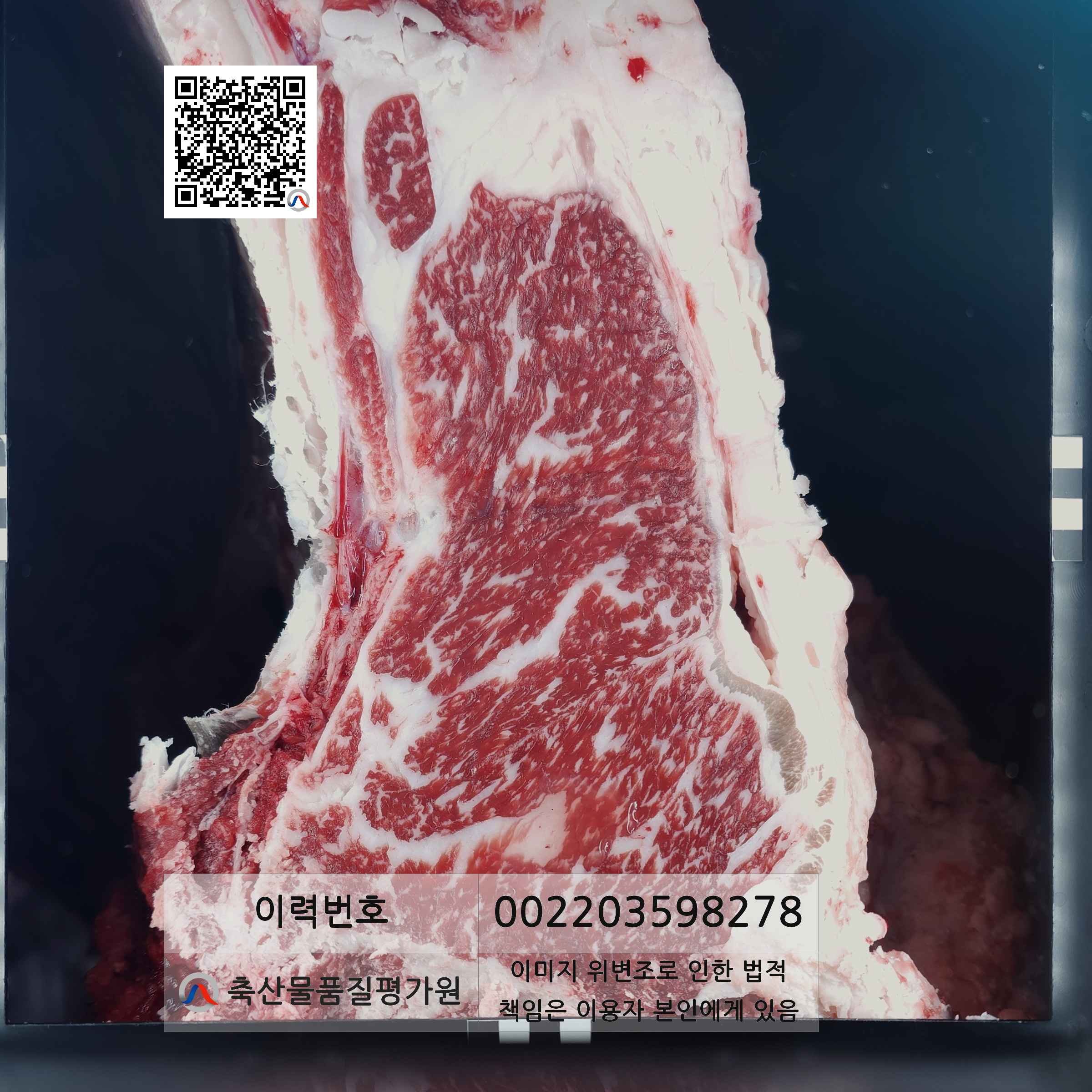 등심단면적 사진