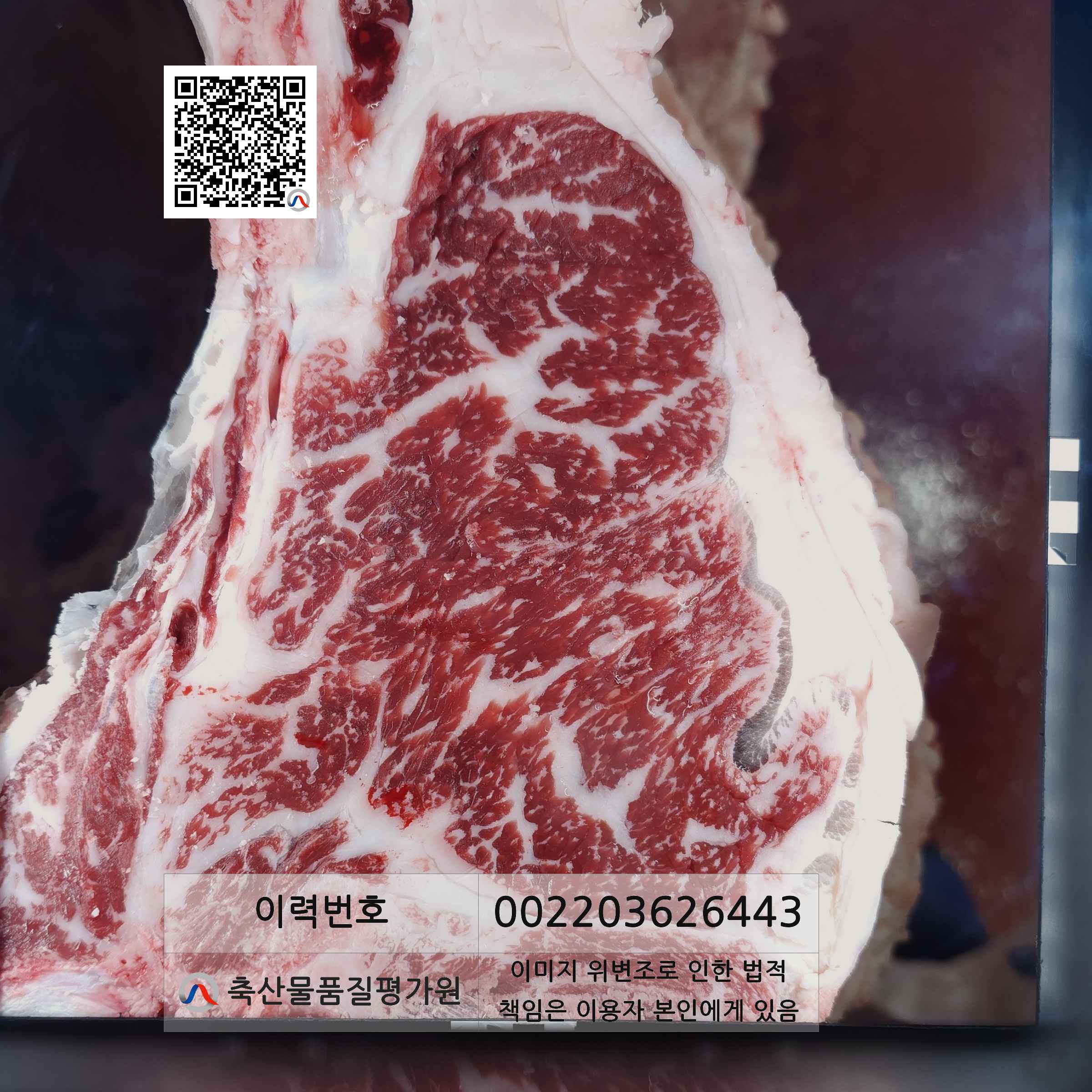 등심단면적 사진