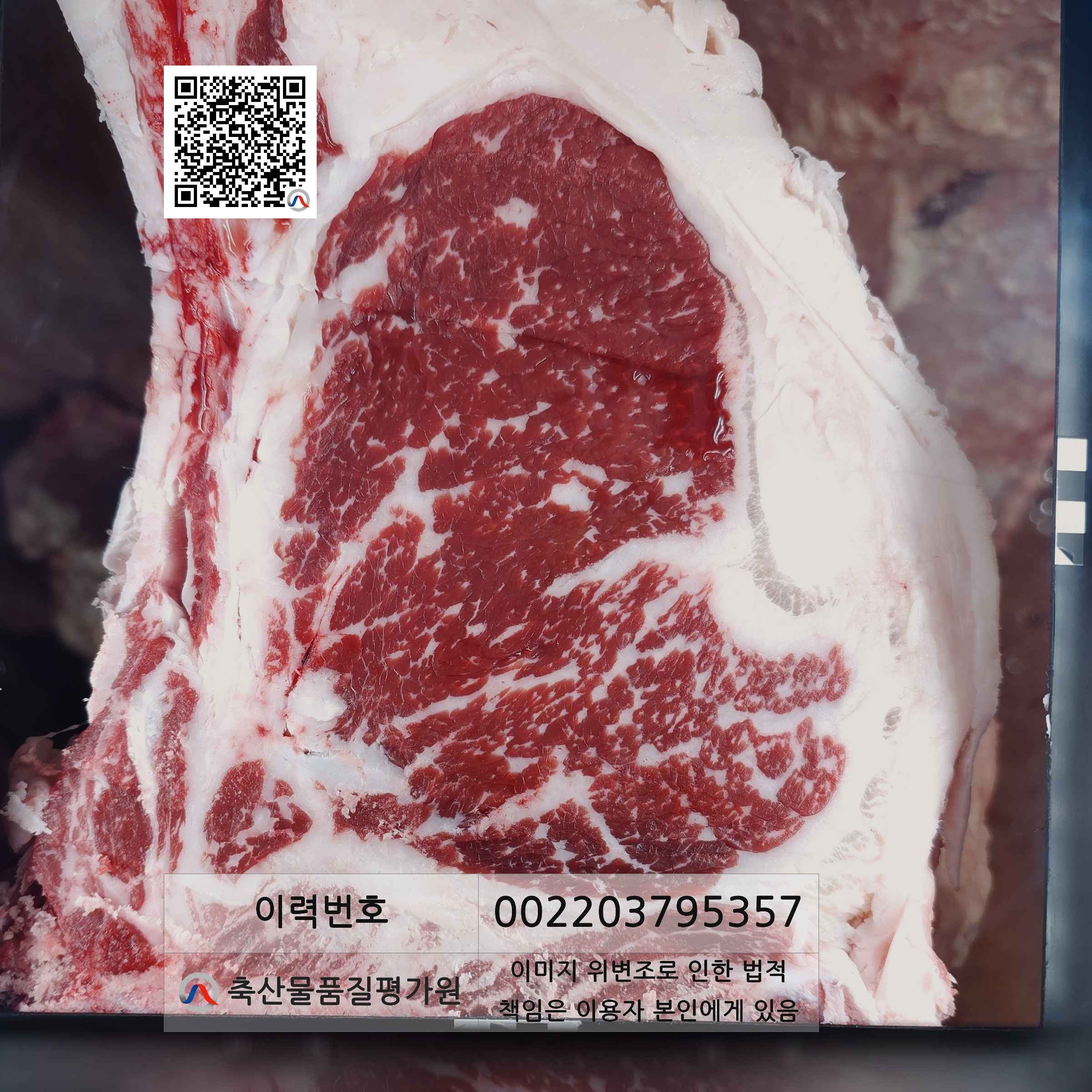 등심단면적 사진