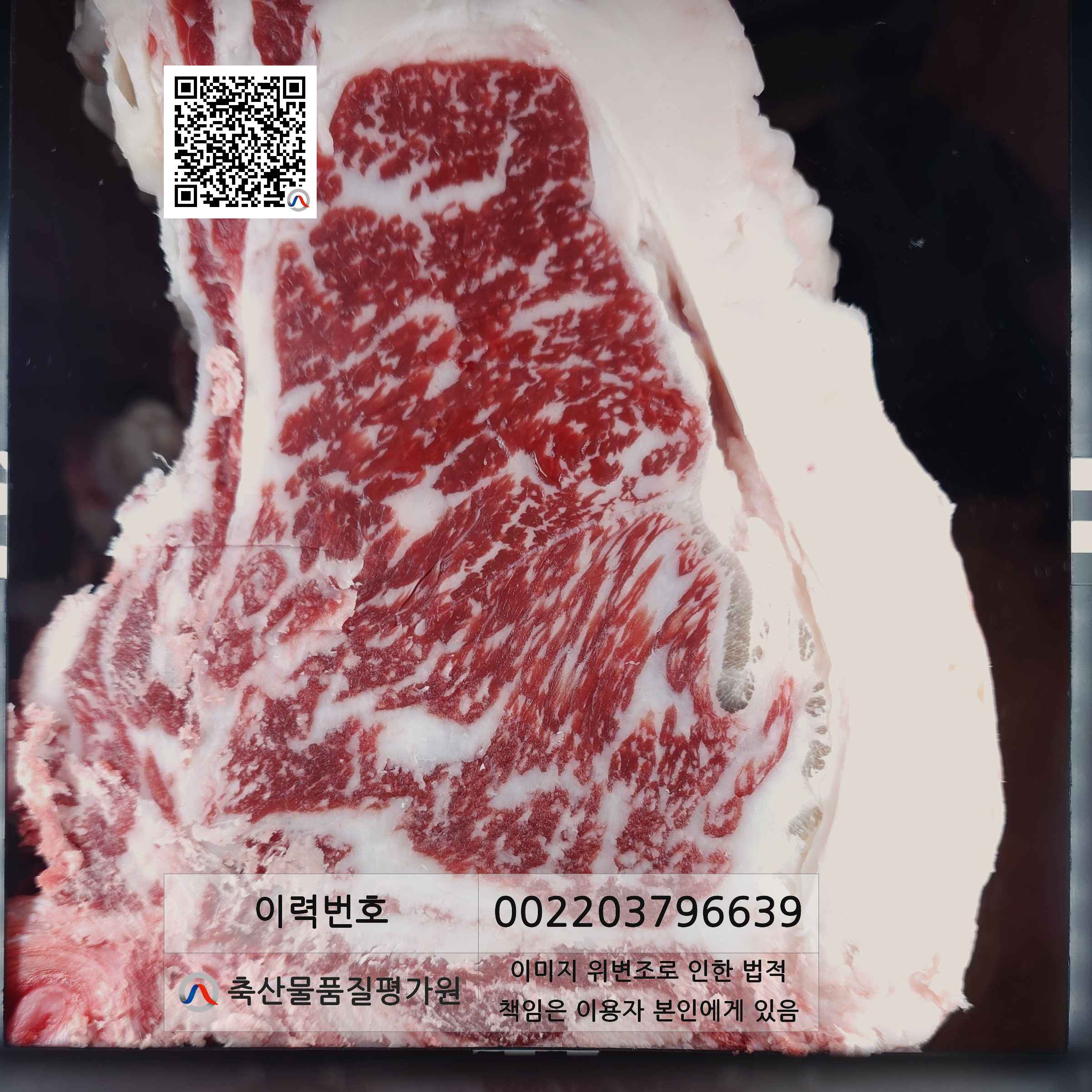 등심단면적 사진