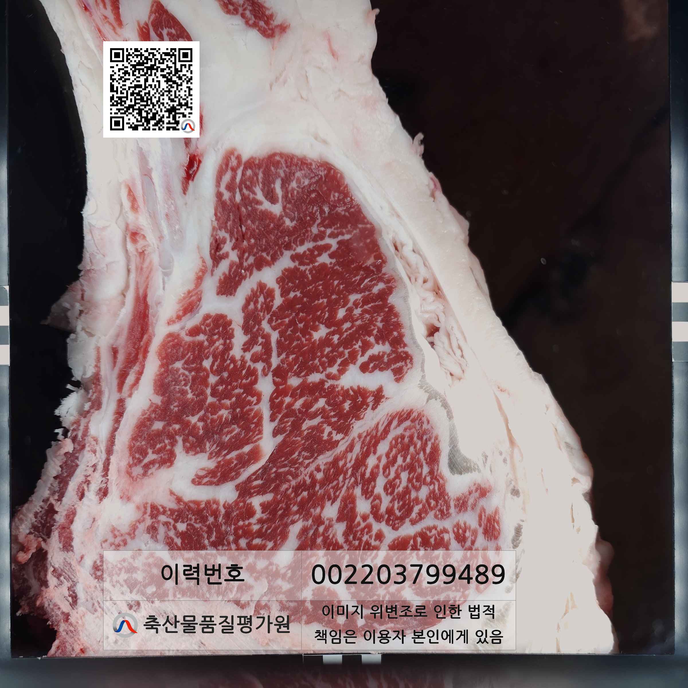 등심단면적 사진