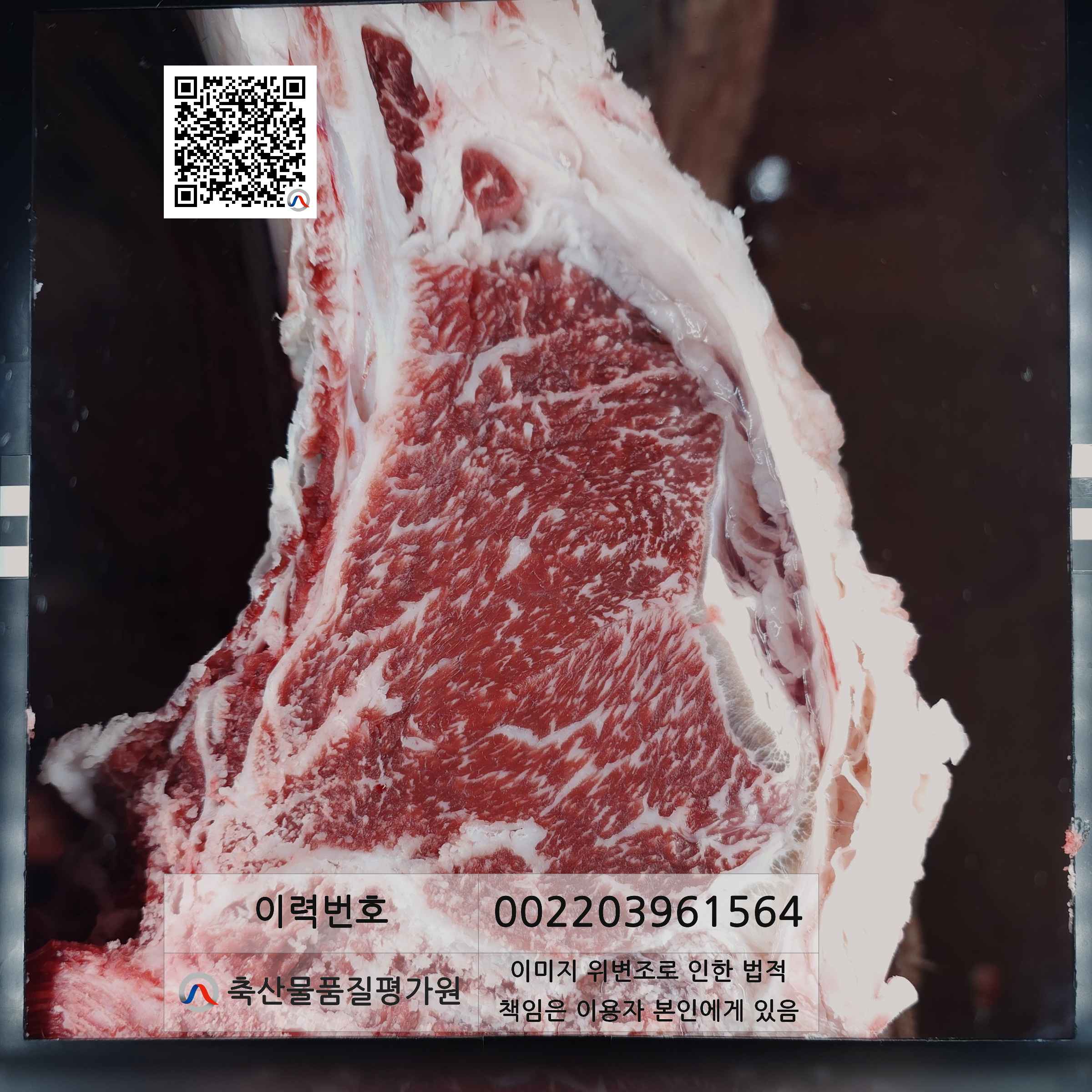 등심단면적 사진