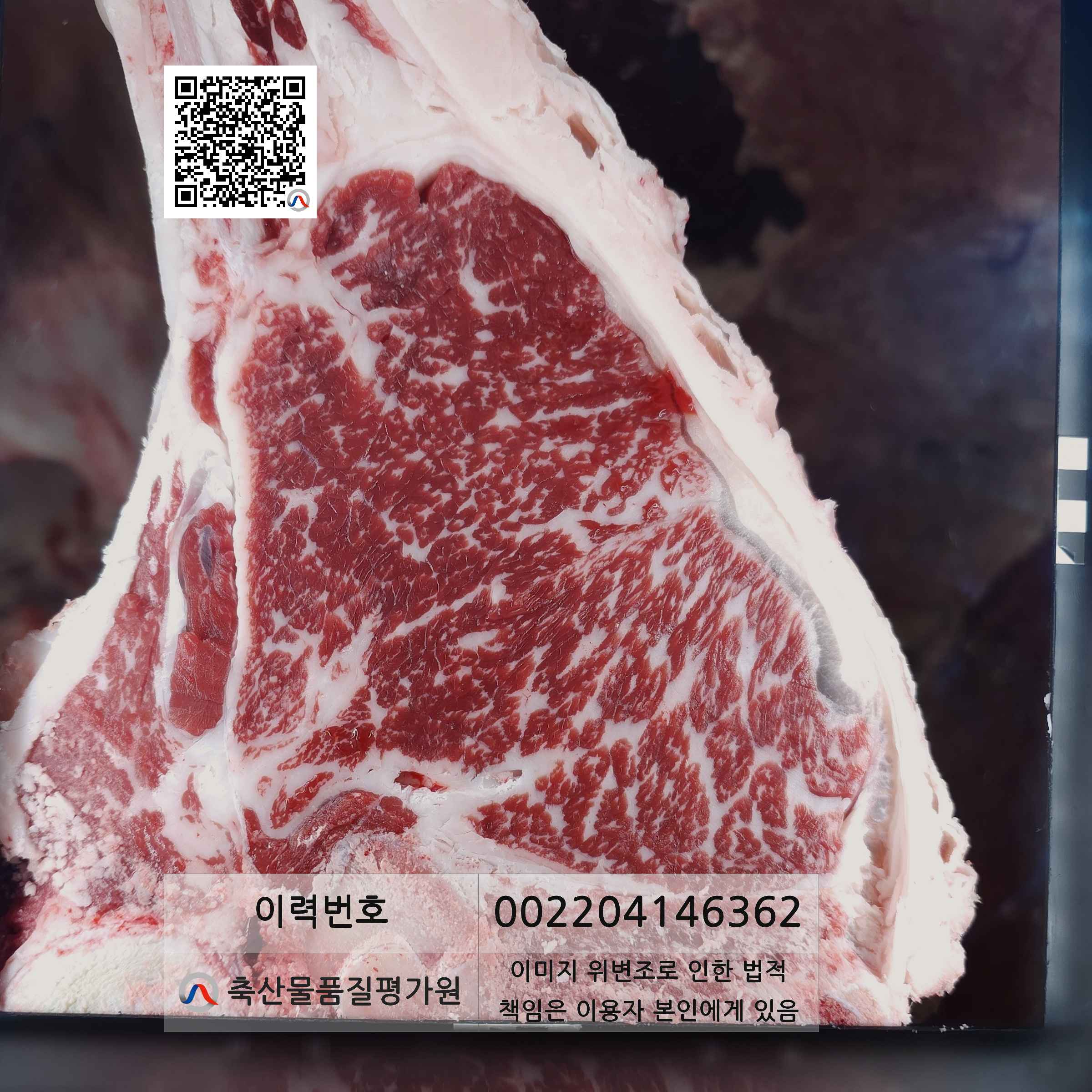 등심단면적 사진
