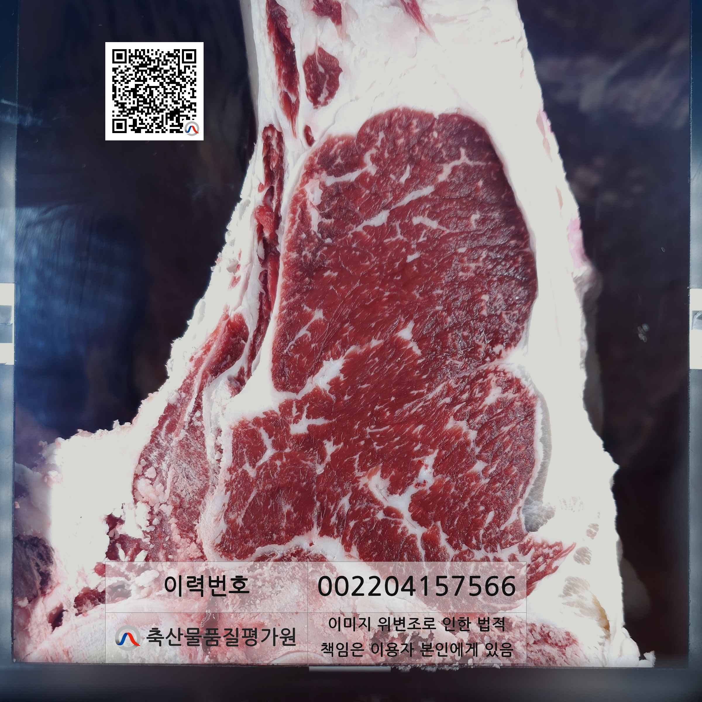 등심단면적 사진