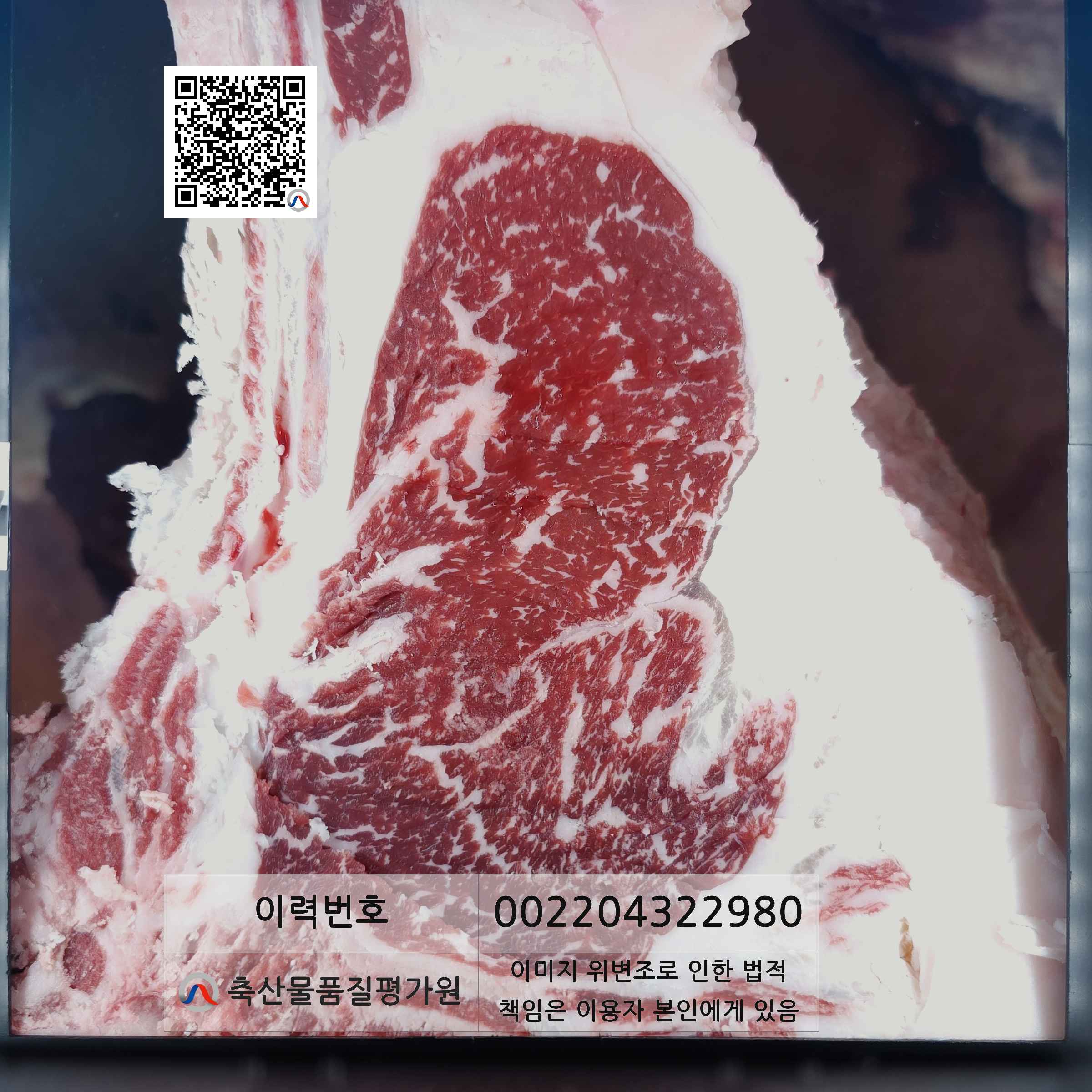 등심단면적 사진