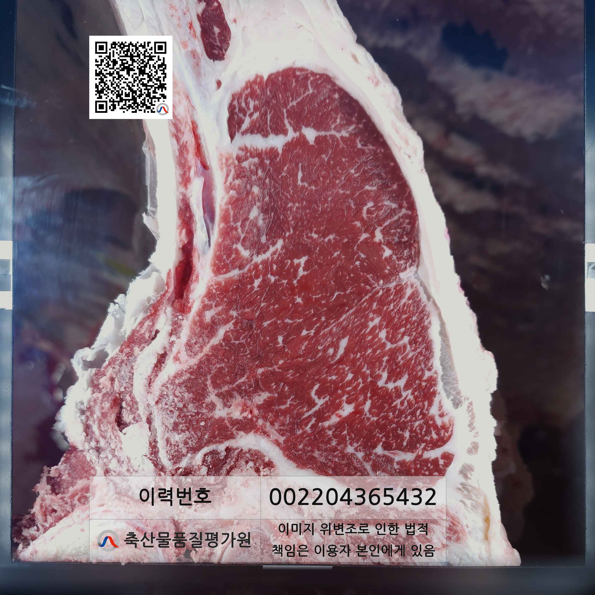 등심단면적 사진