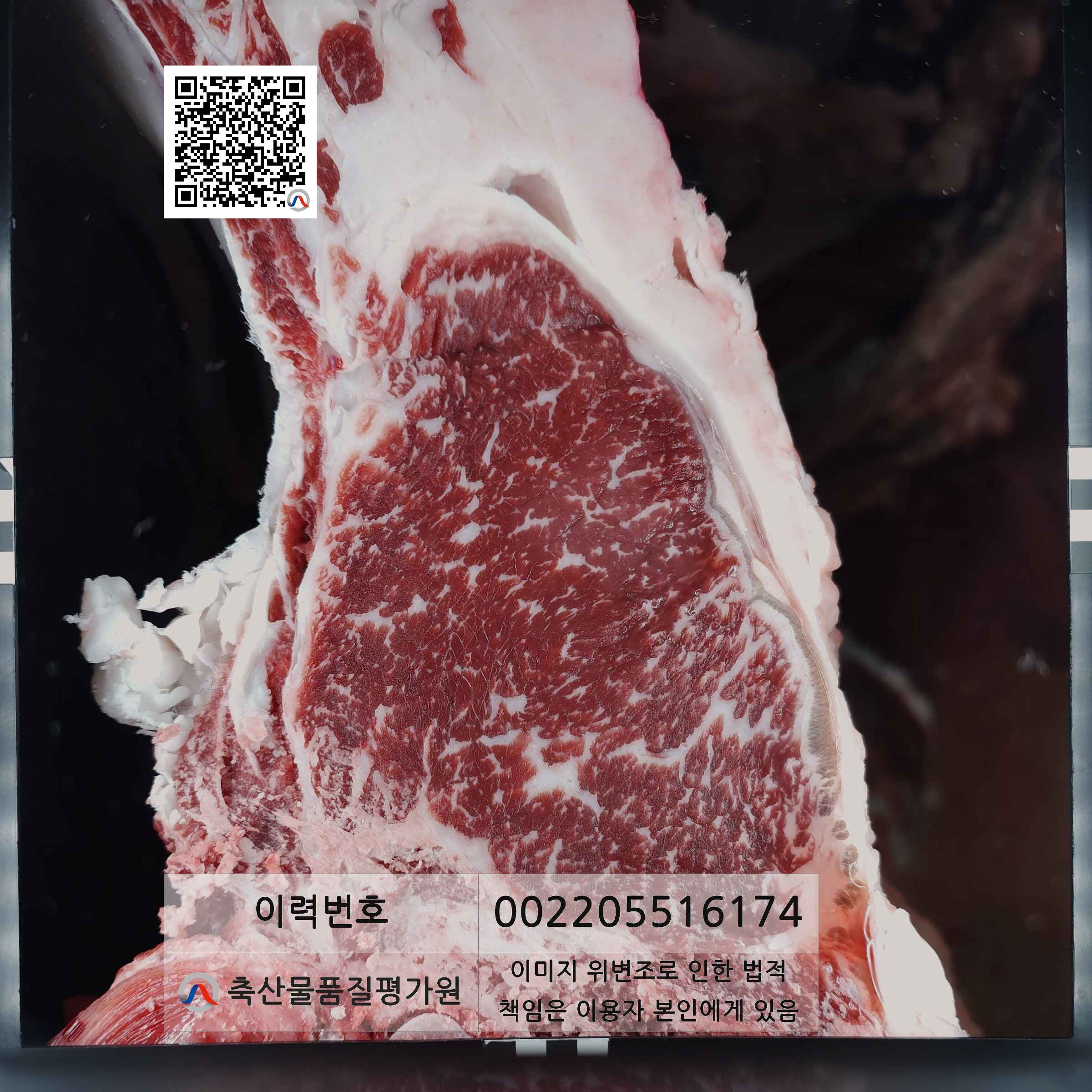 등심단면적 사진