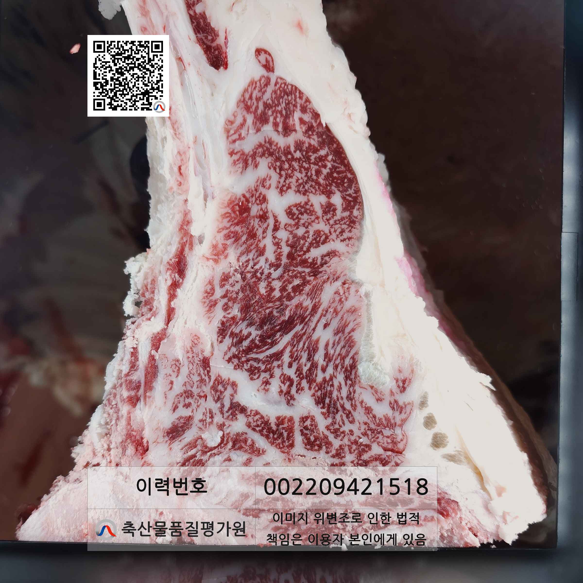 등심단면적 사진